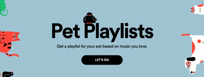 Spotify Playlist Animali