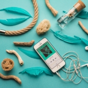 Apple Music sul Web